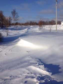 My driveway. The drift is around 4 feet.